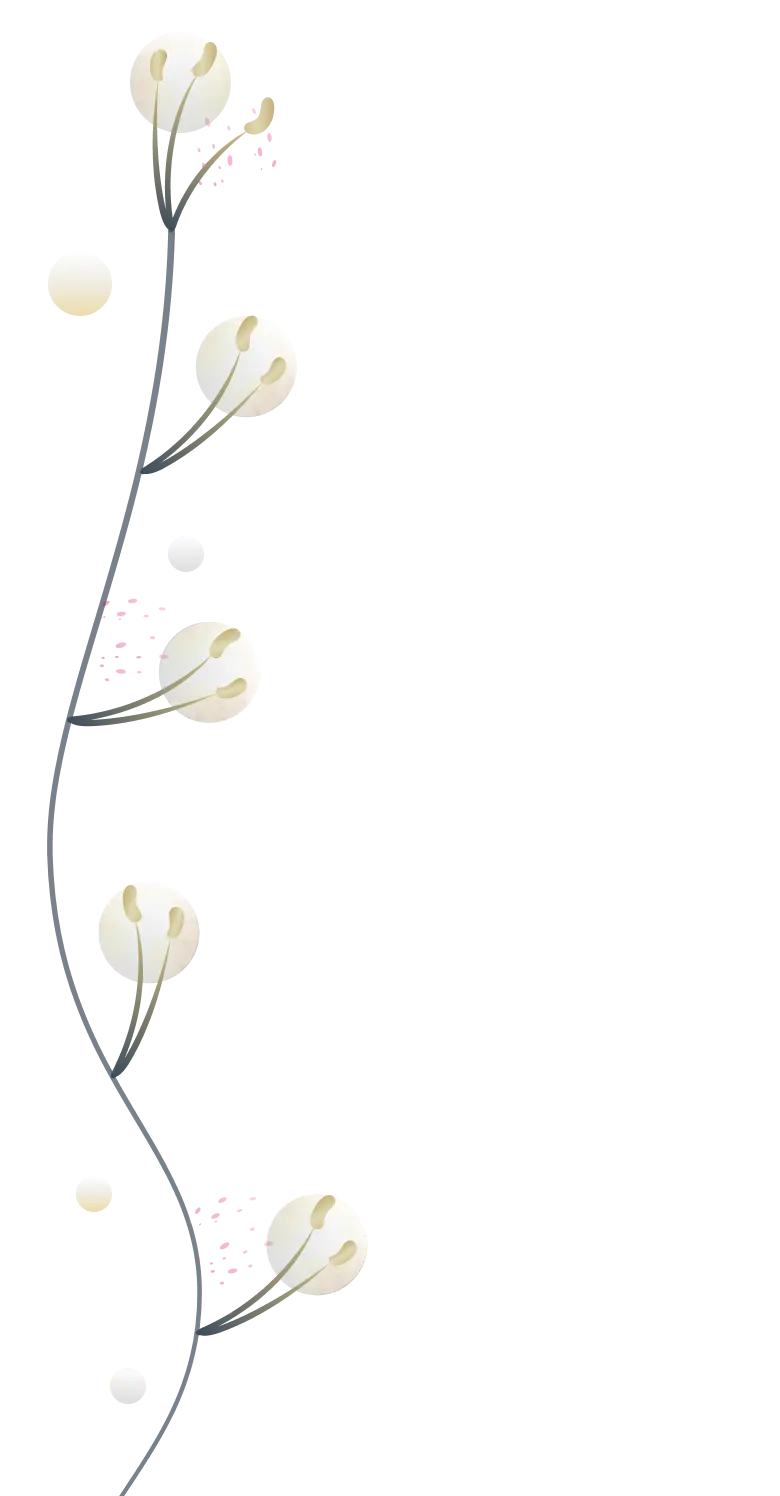LLOVE Foundation - An image of a lily flower, symbolizing purity