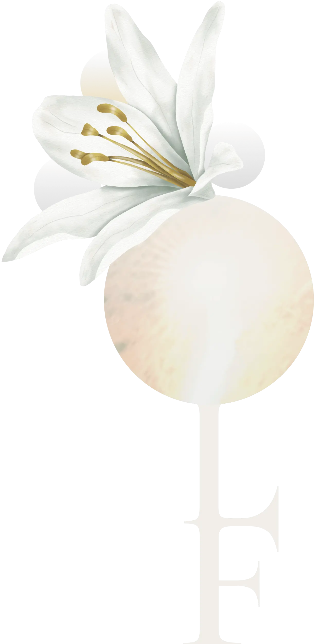 LLOVE Foundation - An image of a lily flower, symbolizing purity
